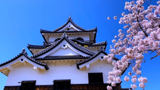 滋賀県への移住について