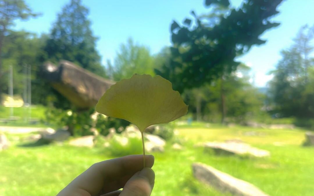 自分探しの「2年間」