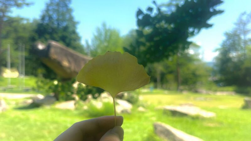 自分探しの「2年間」