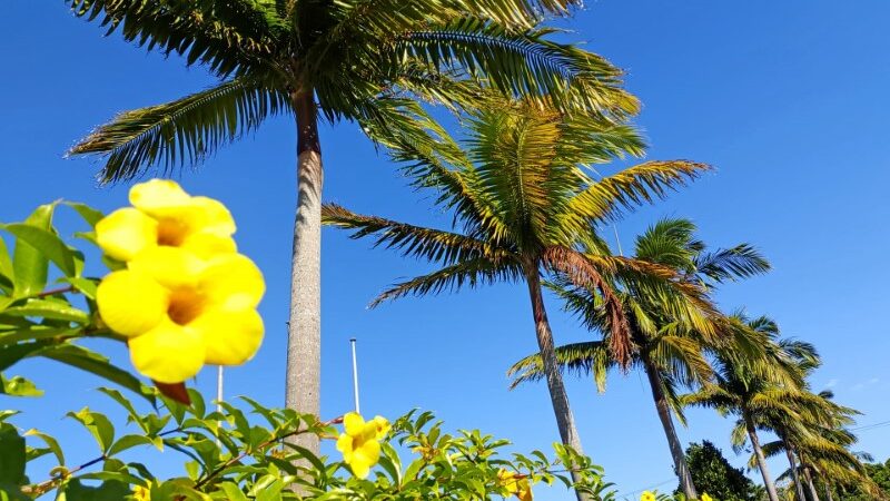 日本のハワイ〜沖縄へ移住しませんか？