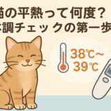 carna-cat-temperature