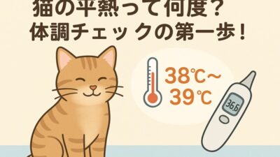 タスカルナに猫の平熱について監修した記事がUPされました